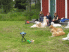 Jag hade en härlig grupp som sög in det jag ville lära ut.